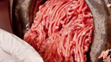 Η εταιρεία Ledo αποσύρει τα «ύποπτα» προϊόντα με κρέας αλόγου 