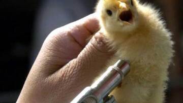 Στα 10 τα κρούσματα της γρίπης των πτηνών Η7Ν9 στην Κίνα