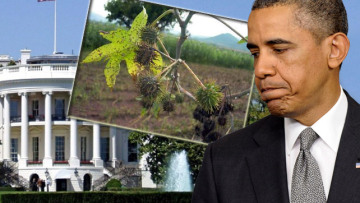 Συνελήφθη ύποπτος για τη δηλητηριώδη επιστολή στον Ομπάμα