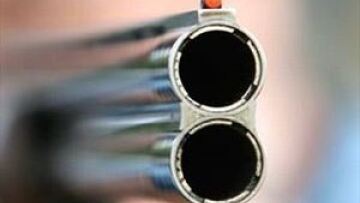 Χανιά: Σκότωσε σκύλο και κατέληξε στο νοσοκομείο