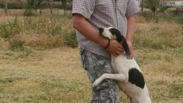 Ηλίας Κωστένης: Ο αστυνομικός που «γάζωσαν» οι Αλβανοί κακοποιοί