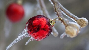 Φωτογραφίες: Όλος ο Καναδάς μία μεγάλη... κατάψυξη