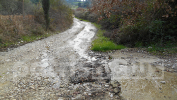  Ηλεία: Κατεστραμμένοι και αδιάβατοι οι δρόμοι στην Κεραμιδιά