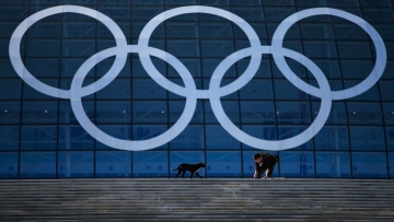 Σώστε τα αδέσποτα του Σότσι, προστάζει Ρώσος ολιγάρχης