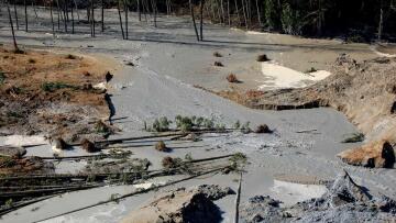 Ουάσινγκτον: 25 νεκροί και 90 αγνοούμενοι από την κατολίσθηση