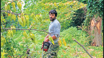 Γιώργος Σεϊταρίδης: Ο Μελισσοκόμος