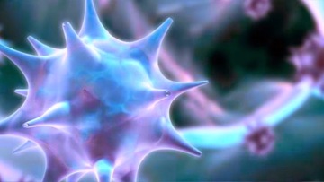 Απαντήσεις σε 10 ερωτήσεις για τον θανατηφόρο κορονοϊό MERS