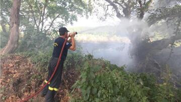 Υπό μερικό έλεγχο η πυρκαγιά στον Καρέα