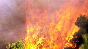 Καίει ακόμα η πυρκαγιά στην Πύλο - Υπό έλεγχο η φωτιά στη Βοιωτία
