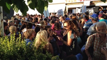 Εύβοια: Οργή για τον ταβερνιάρη που σκότωσε με καρέκλα αδέσποτο σκυλάκι