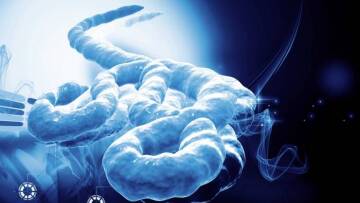 Πειραματική θεραπεία του Έμπολα