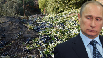 Σώζεται το ελληνικό λάδι και το κρασί από το ρωσικό εμπάργκο