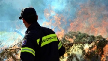 Έσβησε η φωτιά κοντά στην περιφερειακή οδό της Πάτρας