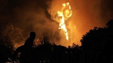 Ολονύχτια μάχη με τις φλόγες στην Κεφαλονιά