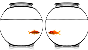 Ποιες είναι οι τέσσερις συνήθειες που βλάπτουν τη μνήμη μας