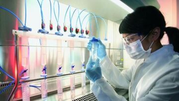 Κορωνοϊός: Πώς λειτουργούν εναντίον του τα αντισώματα; 