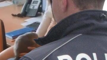 Σλοβενία: Διευθυντής σχολείου κάνει στοματικό σεξ σε καθηγήτρια! 