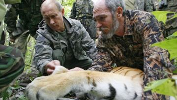 «Διπλωματικό επεισόδιο» ανάμεσα σε Ρωσία-Κίνα προκαλεί η τίγρη του Πούτιν