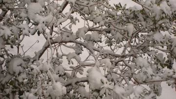 Ραγδαία πτώση της θερμοκρασίας - Πού θα χιονίσει 