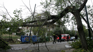 Πάνω από 250 περιστατικά με πεσμένα δέντρα από τους ανέμους μόνο στην Αττική!