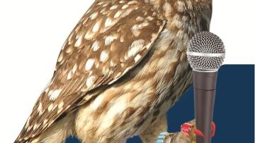 Η Φωτεινή Πιπιλή συστήνεται σαν... κουκουβάγια