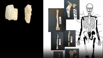 Αμφίπολη: Πέντε οι νεκροί του τάφου - Δείτε φωτογραφίες