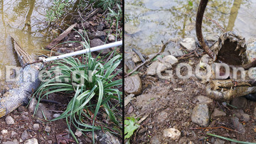 Κρήτη: Δεν άντεξε το χειμώνα ο «Σήφης»