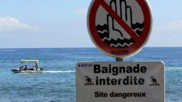 Ινδικός: Τραγικό θάνατο βρήκε 13χρονος από επίθεση καρχαρία 