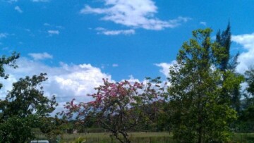 Δευτέρα του Πάσχα με καλό καιρό - Τοπικές βροχές από το απόγευμα 