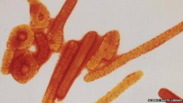 ΗΠΑ: Νέο φάρμακο έδρασε κατά του Εμπόλα