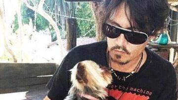 Γιατί τα σκυλιά του Τζόνι Ντεπ κινδυνεύουν με ευθανασία στην Αυστραλία!