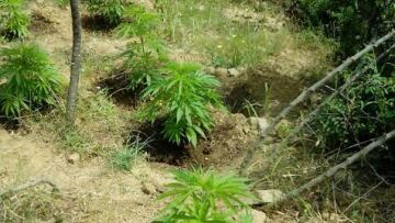 Αιτωλοακαρνανία: Όπλα, χασισοφυτεία και ηρωίνη στο σπίτι δυο ζευγαριών