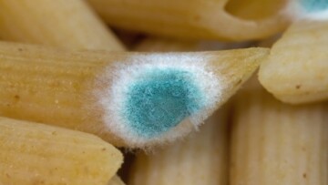 Τι θα συμβεί αν φάτε κάτι που έχει πιάσει μούχλα