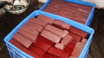 Κίνα: Συνελήφθη άνδρας που παρασκεύαζε «γκουρμέ» λιχουδιά με φορμαλδεΰδη