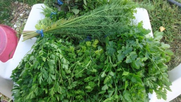 Έβαλαν 5.000 ευρώ πρόστιμο σε 79χρονη για τα ζαρζαβατικά!