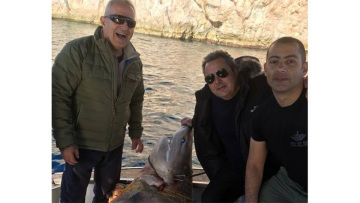 Οργή της WWF για τον «καρχαριομάχο» Καμμένο