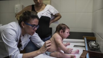 ΠΟΥ: Ο ιός Ζίκα αναμένεται να εξαπλωθεί σχεδόν σε όλη την αμερικανική ήπειρο