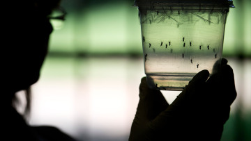 Ο ιός Ζίκα μεταδίδεται και με τη σεξουαλική επαφή!