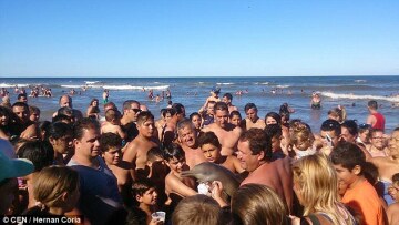 Αργεντινή: Ο άνθρωπος που τράβηξε το βίντεο λέει ότι το δελφίνι ήταν νεκρό πριν τις selfies