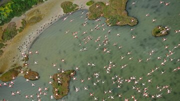 WWF: Η βιομηχανική ανάπτυξη απειλεί τα μισά από τα μνημεία παγκόσμιας κληρονομίας