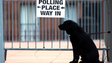 Τι απόψεις υποστηρίζουν για το Brexit 21... σκυλιά!