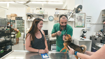 Ιεράπετρα: Στέλνουν στον εισαγγελέα τον κτηνίατρο που περιθάλπει ανθρώπους
