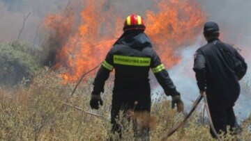 Νεκρός πυροσβέστης στη φωτιά στο Παρόριo Βοιωτίας
