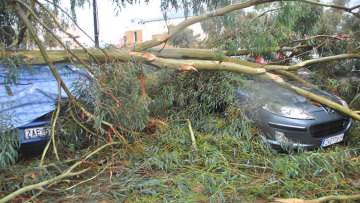 Ζάκυνθος: Χωρίς ρεύμα το μισό νησί μετά την καταιγίδα - Μεγάλες ζημιές