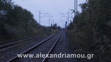 Τραγικός θάνατος για άντρα στην Ημαθία: Διαμελίστηκε από τρένο 