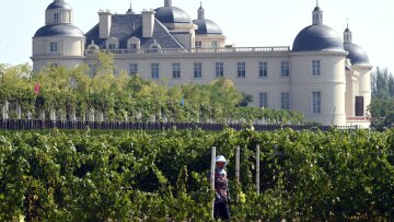 Κίνα: Στέλνει αμπέλια στο διάστημα για να φτιάξει το καλύτερο κρασί στον κόσμο!