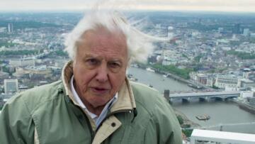 Planet Earth: Το συγκλονιστικό μήνυμα του Sir David Attenborough στο φινάλε του δεύτερου κύκλου