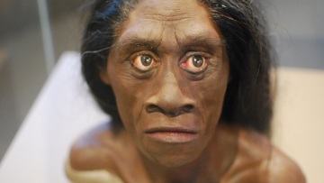 Αυστραλοί επιστήμονες: Ο «επιδέξιος άνθρωπος» πρόγονος του «Χόμπιτ» της Ινδονησίας