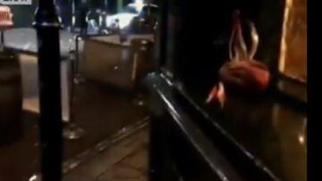 Βίντεο - ντοκουμέντο: Η στιγμή που βρετανοί αστυνομικοί εξουδετερώνουν τους δράστες