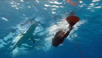 O Μάικλ Φελπς έχασε από τον «Λευκό Καρχαρία» σε έναν αγώνα... σκέτη απάτη